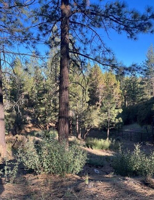 545 Division Drive, Big Bear, CA, 92314 | Card Image