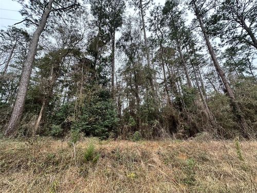 TBD The Ole Don Rd, Livingston, TX, 77351 | Card Image