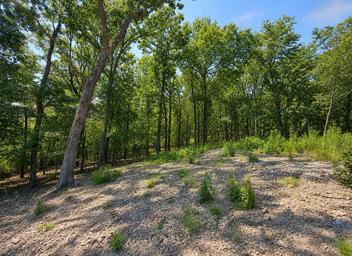 Land in Jay 4