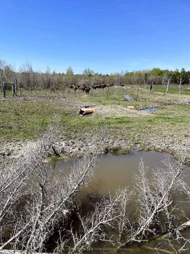 10138 Highway 64 N/A S, Home with 0 bedrooms, 0 bathrooms and null parking in West Nipissing ON | Image 16