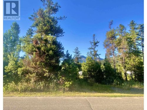 1060 6th Ave, Valemount, BC, V0E2Z0 | Card Image