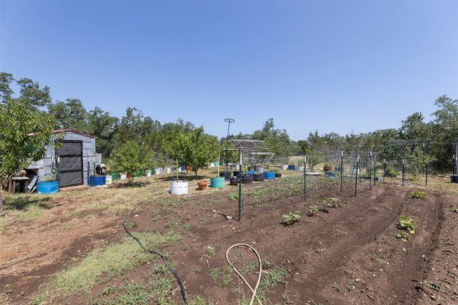 View of yard featuring a vegetable garden | Image 26