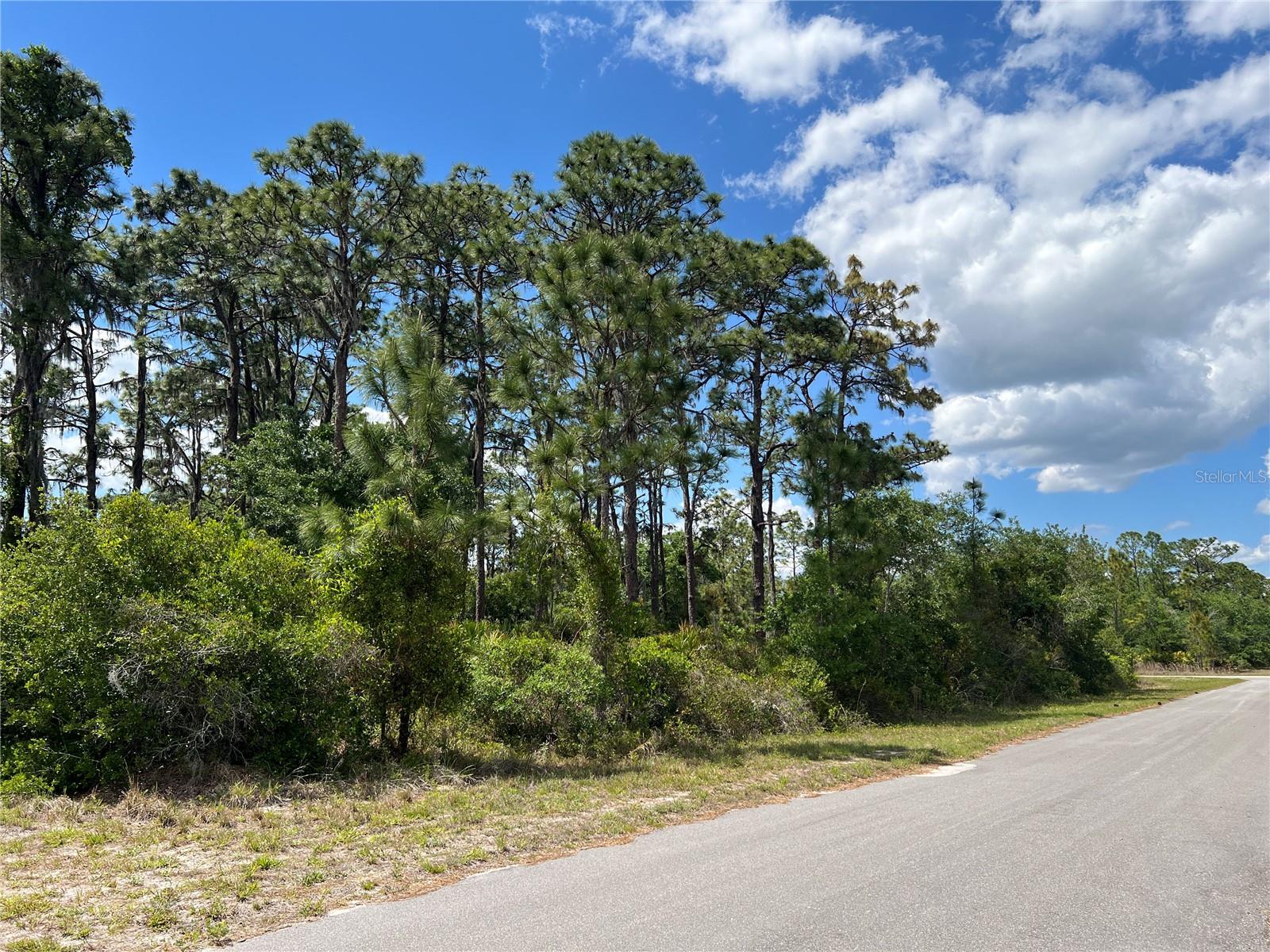 Land in INDIAN LAKE ESTATES