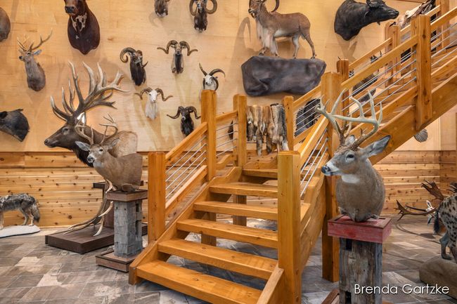 3948 N Holland Rd, House other with 4 bedrooms, 5 bathrooms and null parking in Stanton MI | Image 54