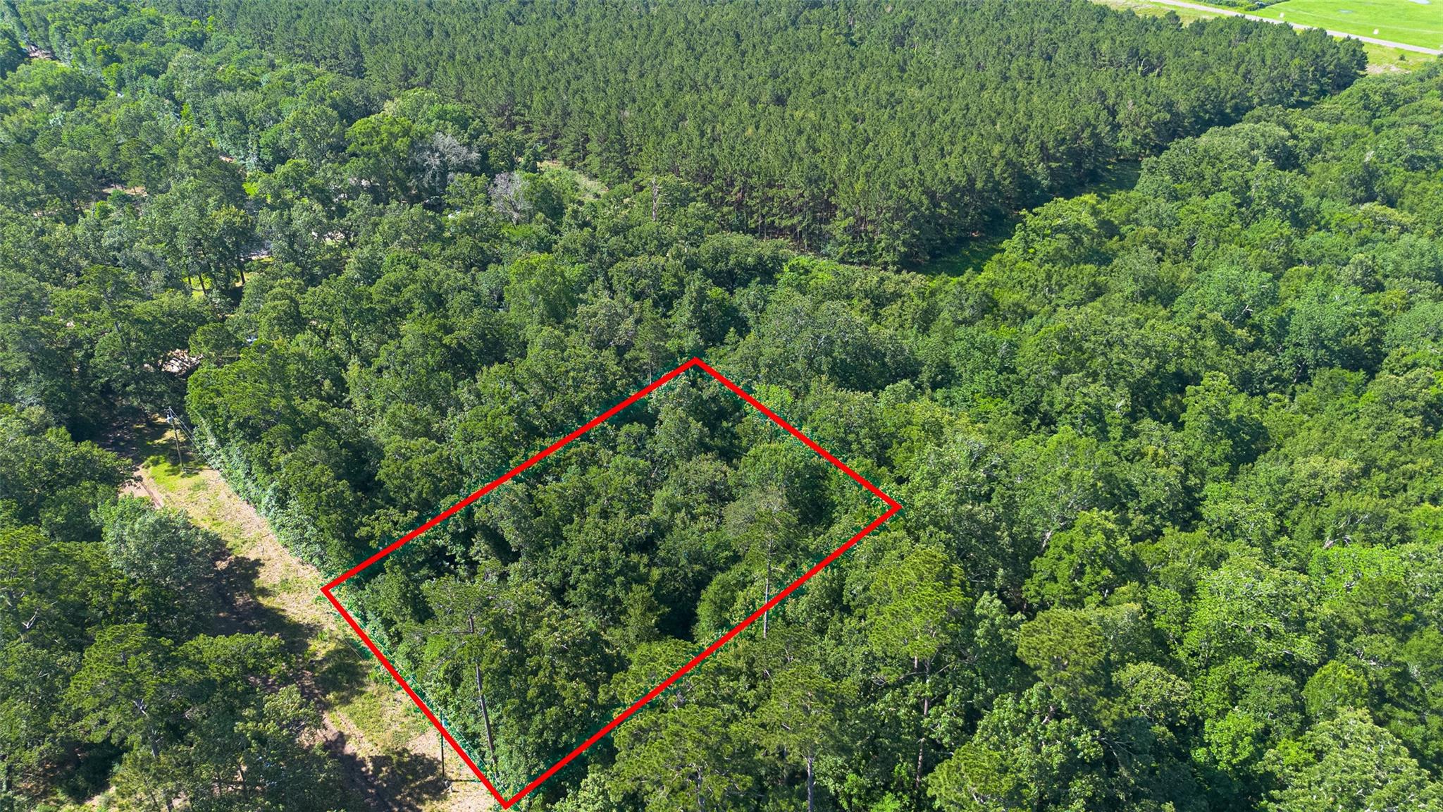 Land in Livingston 3