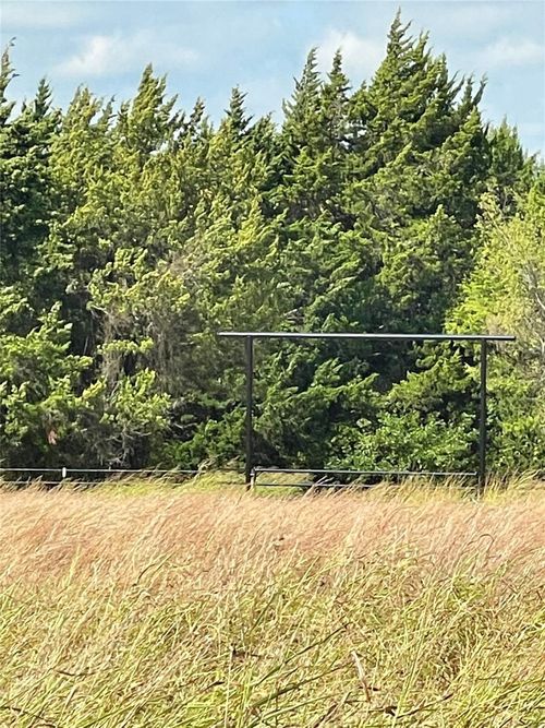 334 Greanead Rd, Forestburg, TX, 76239-3311 | Card Image