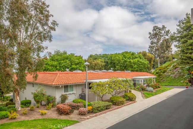 View of tree-lined neighborhood from the balcony. | Image 12