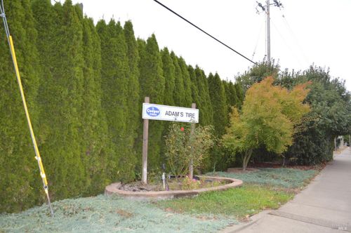 230 Shell Ln, Willits, CA, 95490-4521 | Card Image