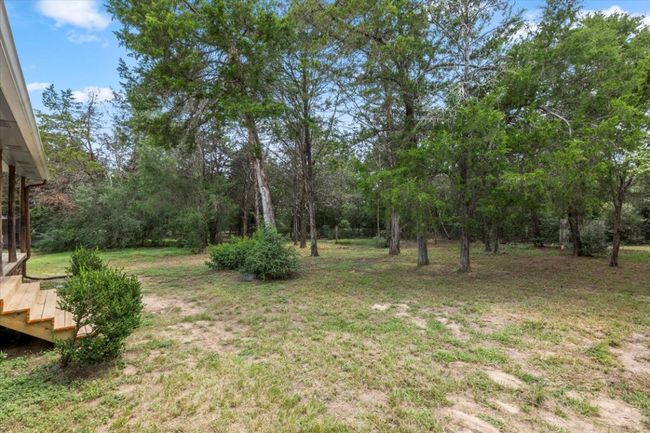 Back Yard Area | Image 19