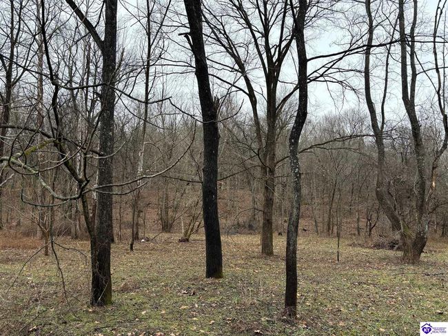 627 New State Rd, Home with 0 bedrooms, 0 bathrooms and null parking in Webster KY | Image 14