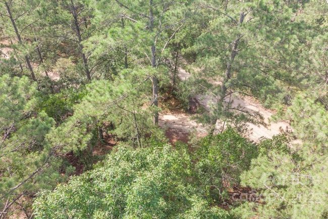 1915 Koon Road, Home with 0 bedrooms, 0 bathrooms and null parking in Lugoff SC | Image 8