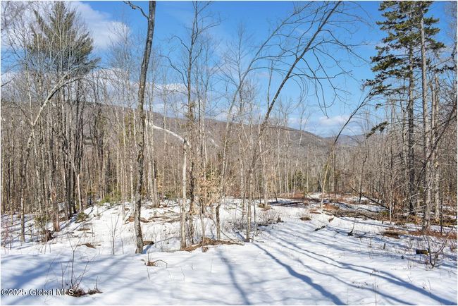 48 Durkin Rd, Home with 0 bedrooms, 0 bathrooms and null parking in North Creek NY | Image 62