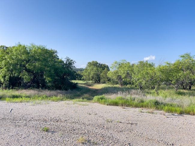 View of undeveloped land | Image 11