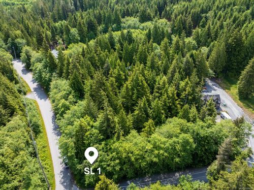 17204 Osprey Pl, Port Renfrew, BC, V0S1K0 | Card Image