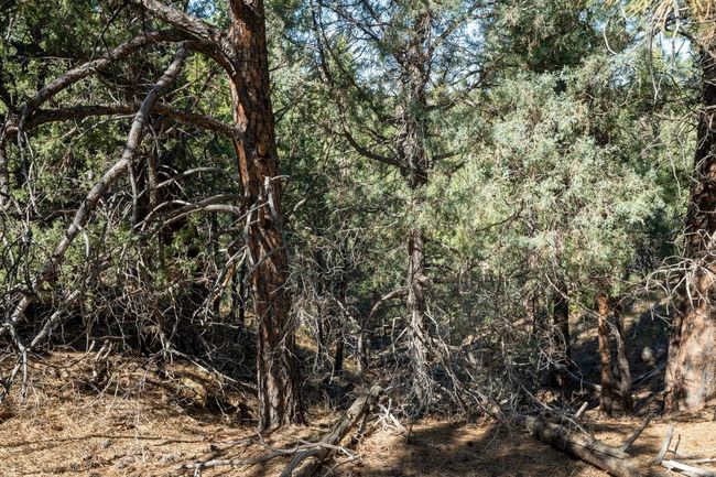 Lot 4 Sunset Ridge Road, Home with 0 bedrooms, 0 bathrooms and null parking in Newcastle WY | Image 25