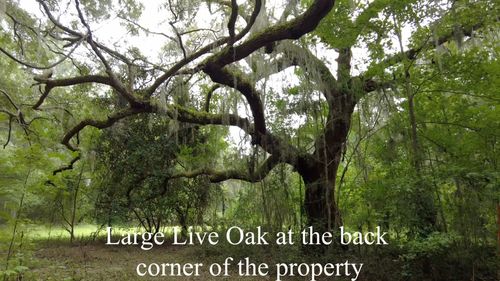 1661 Blues Lane, Edisto Island, SC, 29438 | Card Image