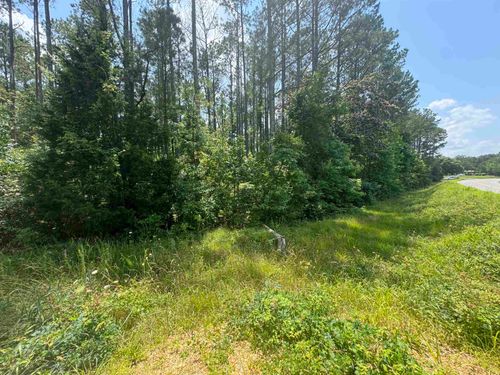 0 Highway 19, Vina, AL, 35593 | Card Image