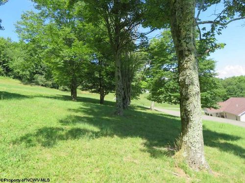 Tbd Doe Ln, Buckhannon, WV, 26201 | Card Image