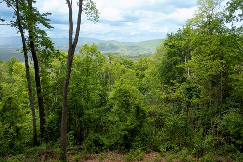 Lt 61 Wilderness Creek Way, Murphy, NC, 28906-3124 | Card Image