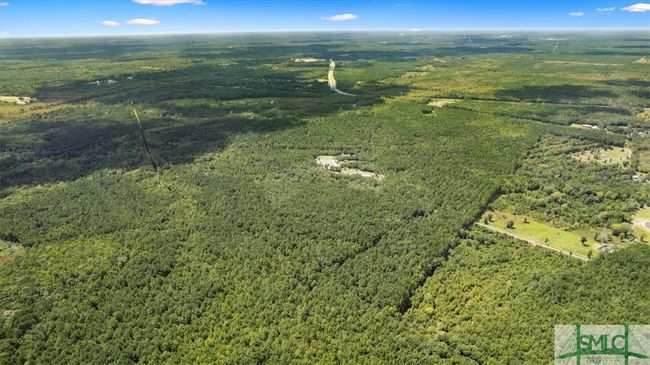 262 Leroy Coffer Highway, Home with 0 bedrooms, 0 bathrooms and null parking in Fleming GA | Image 13