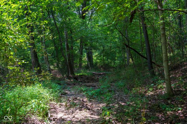 1000 N County Road 825 W, Home with 0 bedrooms, 0 bathrooms and null parking in Medora IN | Image 15