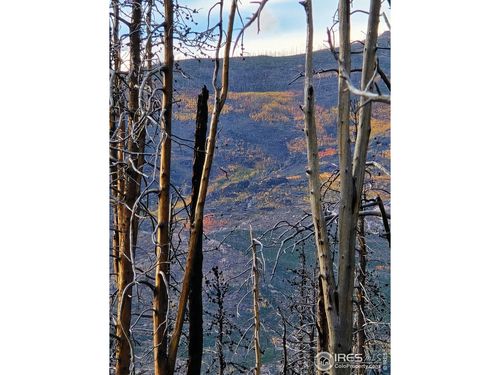 75 Sheep Horn Ct, Bellvue, CO, 80512 | Card Image