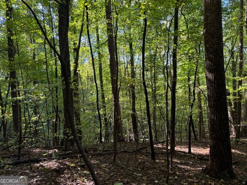 j349-350-0 Mountain View Ct, Ellijay, GA, 30536 | Card Image