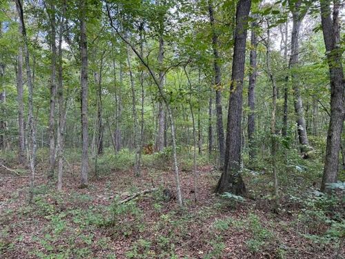 2103 Goforth Rd, Morrison, TN, 37357 | Card Image