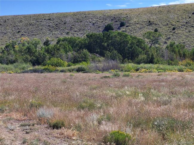 000 La Jara Creek Road, Home with 0 bedrooms, 0 bathrooms and null parking in La Jara CO | Image 11
