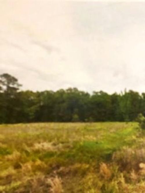 0 Whittington Cutoff Rd, Benton, LA, 71006 | Card Image