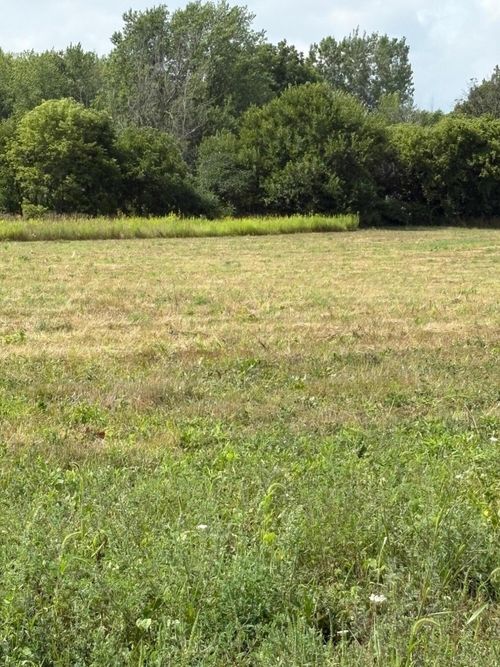 10725 Windward Avenue Sw, Byron Township, MI, 49315 | Card Image