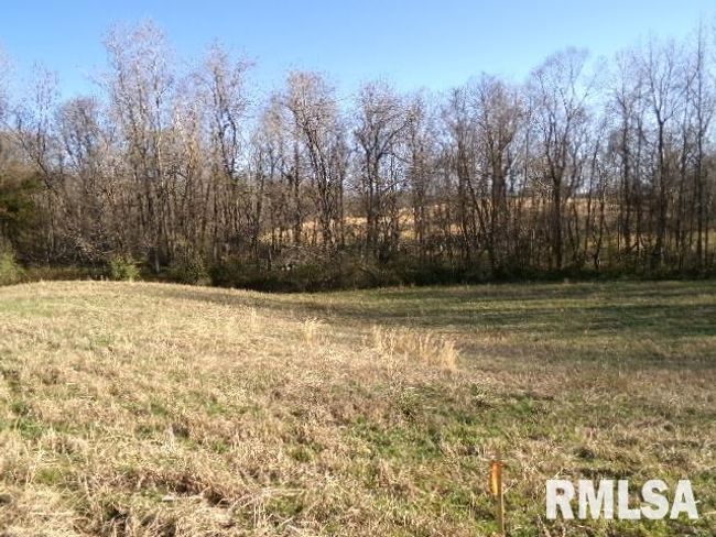 2225 Route 34, House other with 4 bedrooms, 2 bathrooms and null parking in Rosiclare IL | Image 54