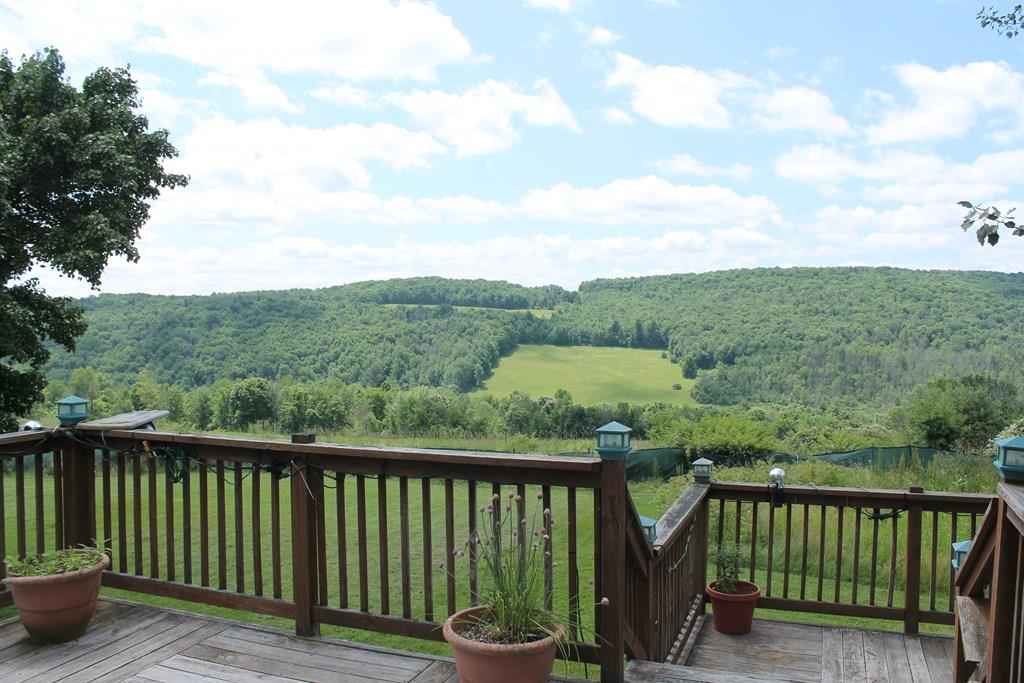 Riley Hill Rd, Pine City, NY 14871