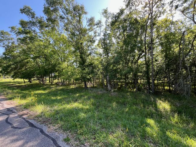 0 Squirrel Holw, Home with 0 bedrooms, 0 bathrooms and null parking in Damon TX | Image 6