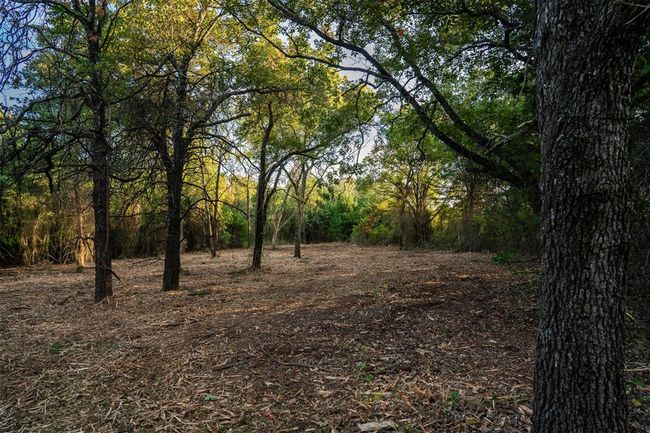 View of local wilderness with a wooded view | Image 5