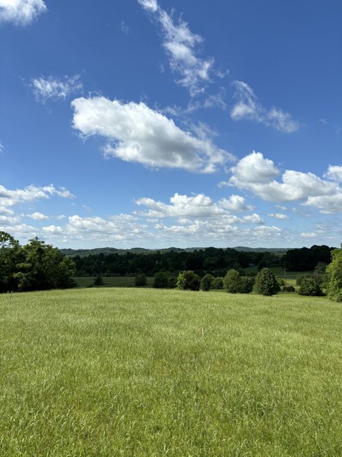 1065 Bugscuffle Road, Wartrace, TN, 37183 | Card Image