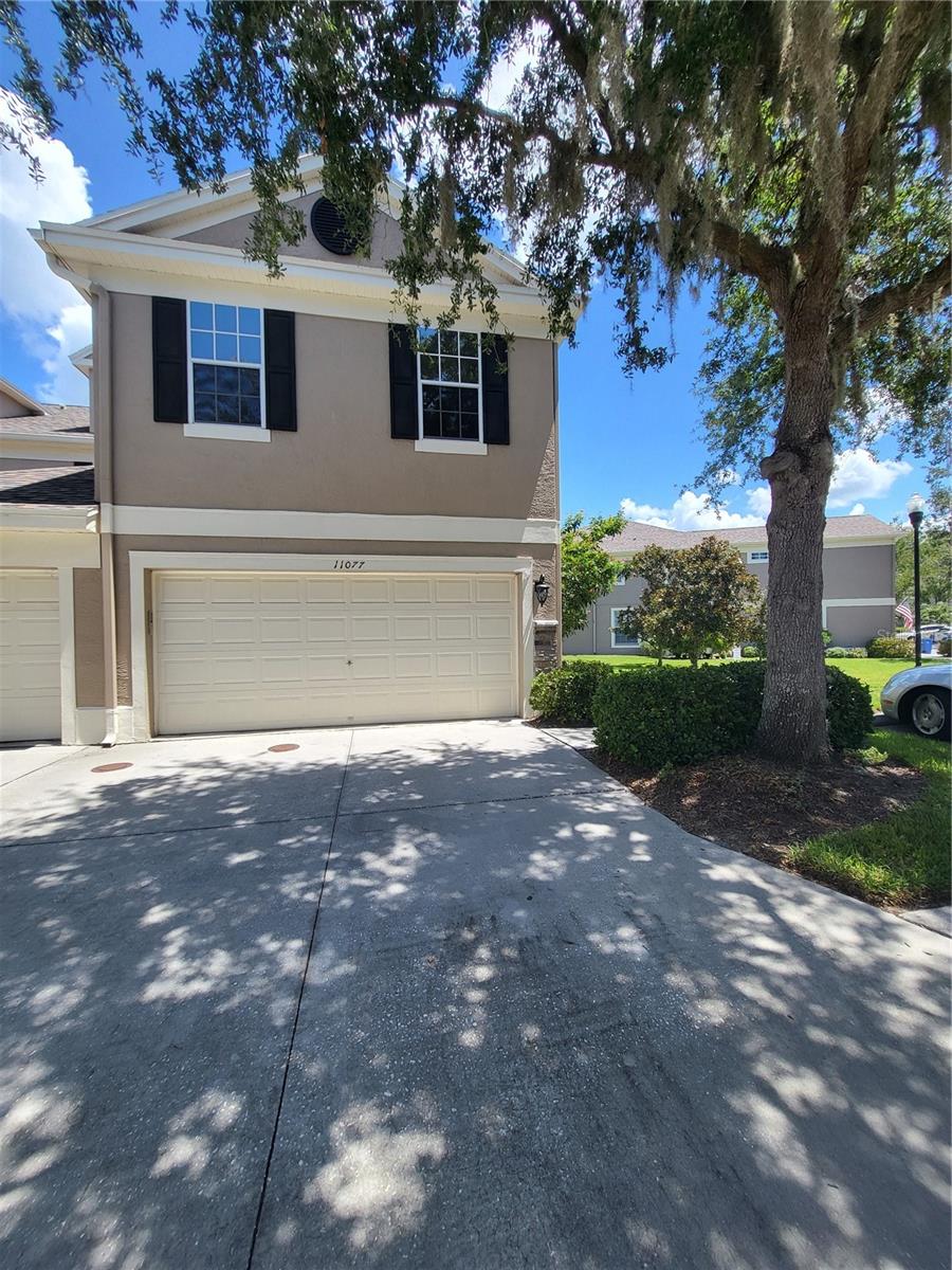 Windsor Place Cir, Tampa, FL 33626