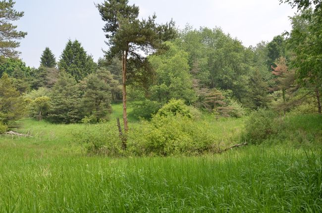 4500 S 42 Nd St, Home with 0 bedrooms, 0 bathrooms and null parking in Climax MI | Image 28