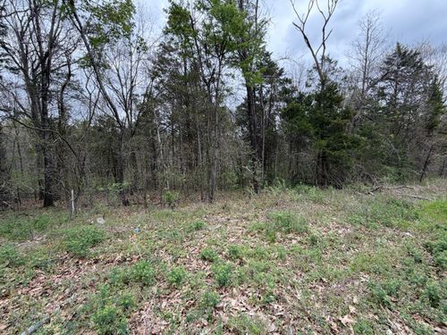 001 Holiday Hills Dr, Cape Fair, MO, 65624-4281 | Card Image