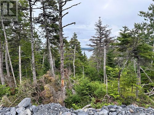9-10 Pikes Road, Spread Eagle, NL, A0B2W0 | Card Image