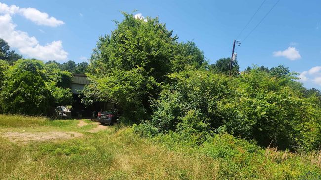 17559 Fm 31, Home with 0 bedrooms, 0 bathrooms and null parking in Elysian Fields TX | Image 6