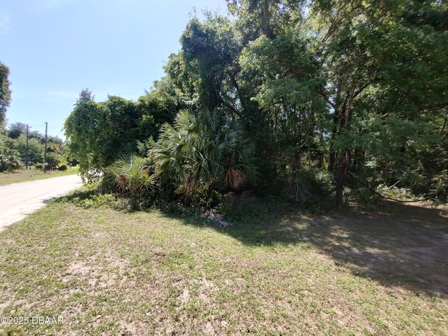 101 Hudson Dr, Home with 0 bedrooms, 0 bathrooms and null parking in Satsuma FL | Image 5