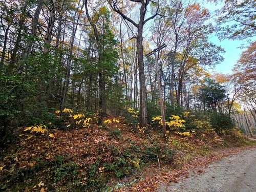 0 Cooleyville Rd, Shutesbury, MA, 01072 | Card Image