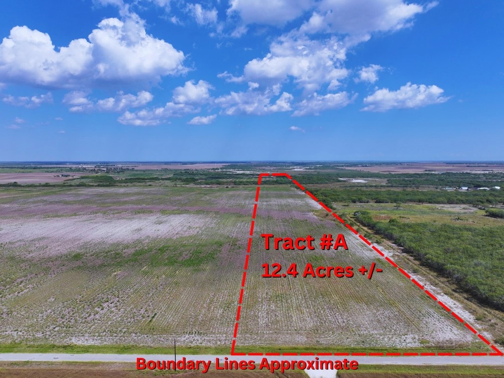 Land in Kingsville