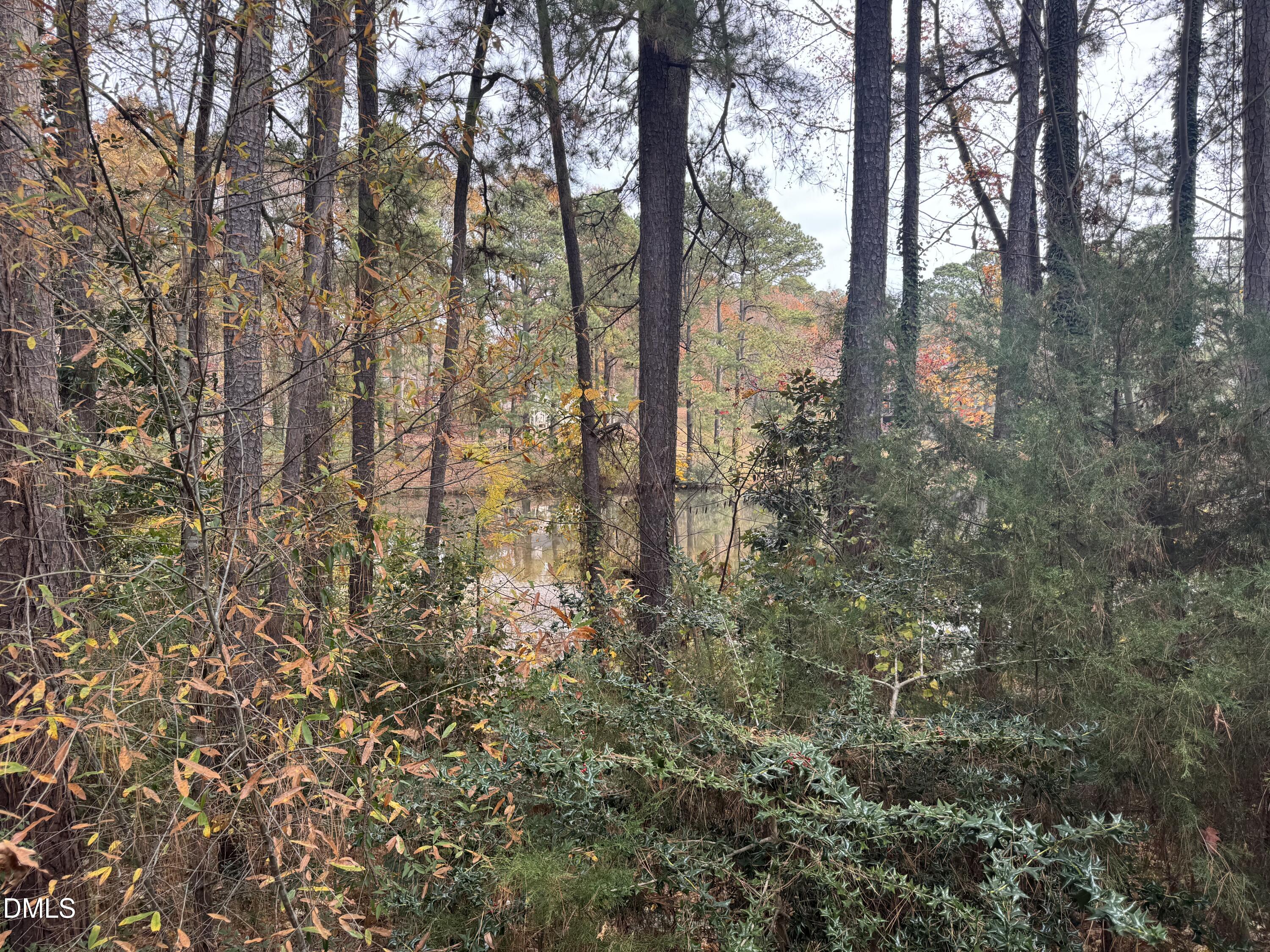 Residential in Raleigh 4