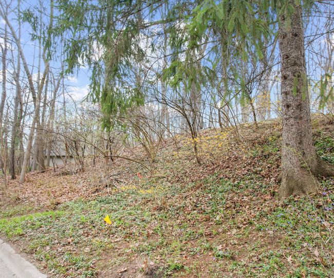 3081 Overridge Dr, Home with 0 bedrooms, 0 bathrooms and null parking in Ann Arbor MI | Image 4