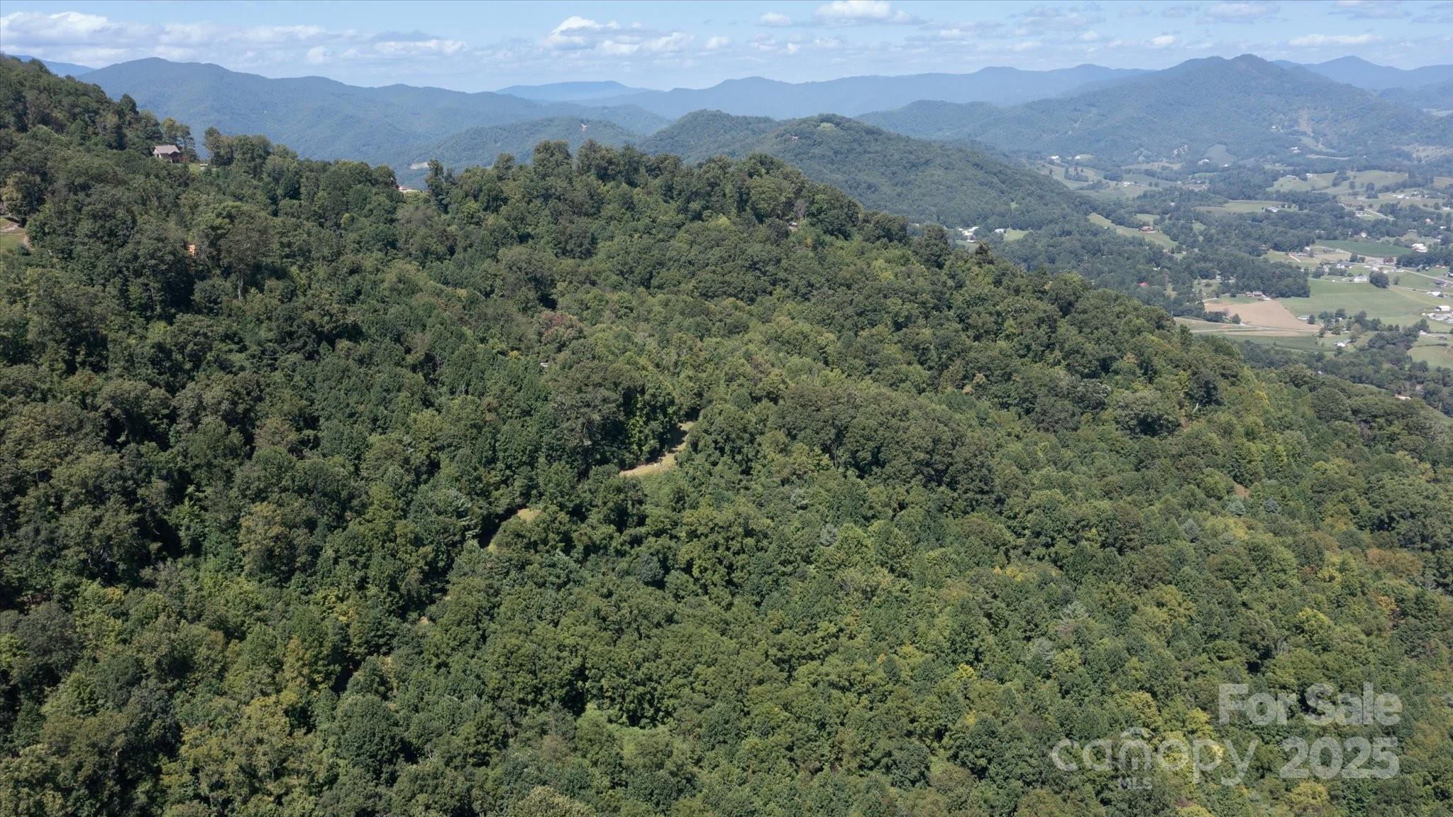 Land in Waynesville