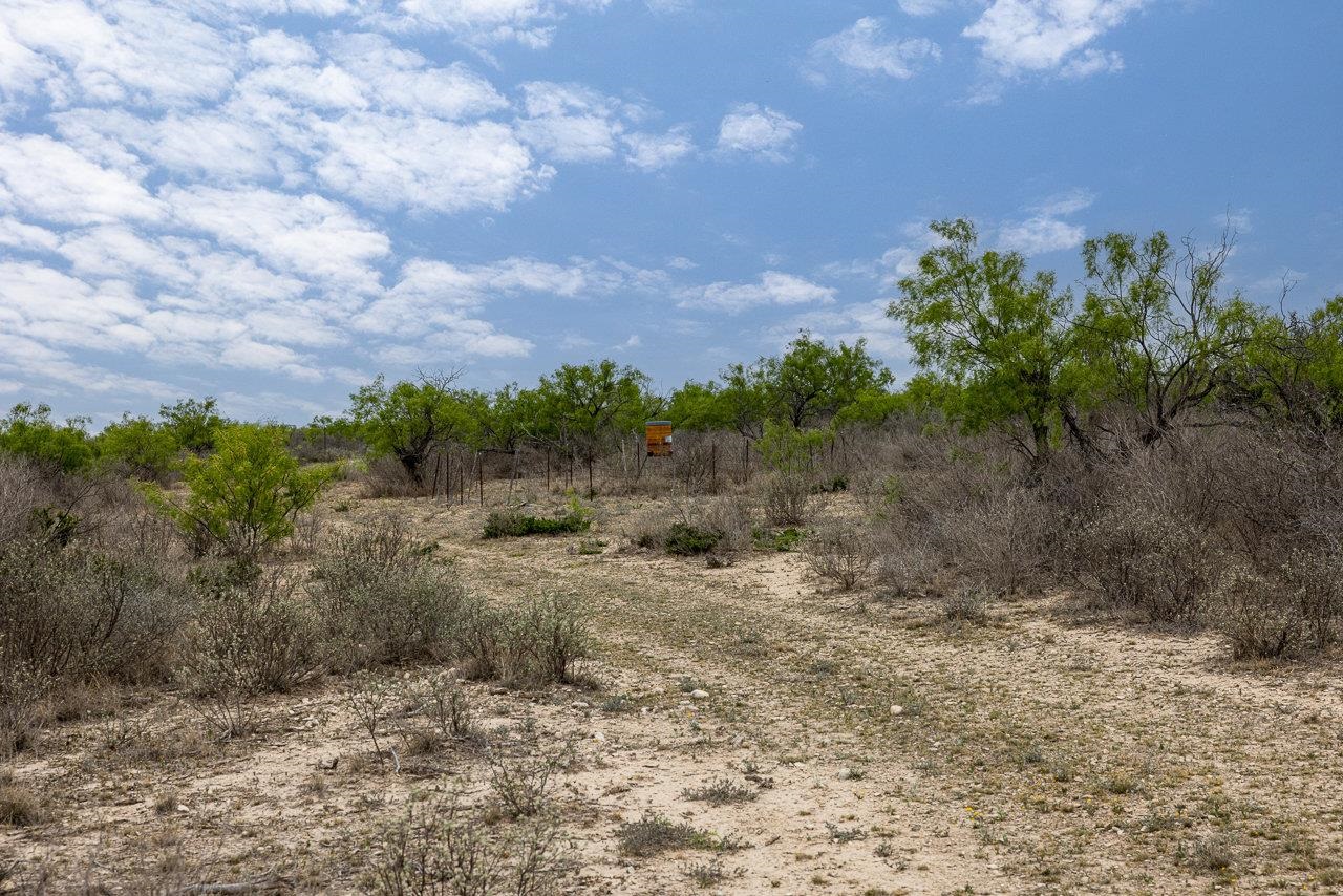 Land in Del Rio 3
