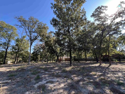 Lot 46 BLK 2 Cr 2310, Mineola, TX, 75773 | Card Image