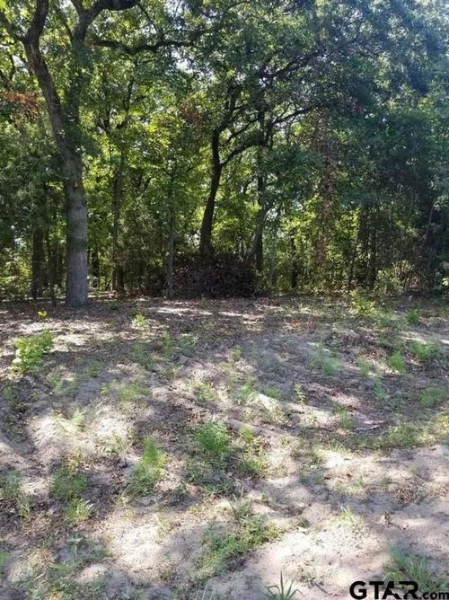 N/A Birch Dr, Murchison, TX, 75778 | Card Image